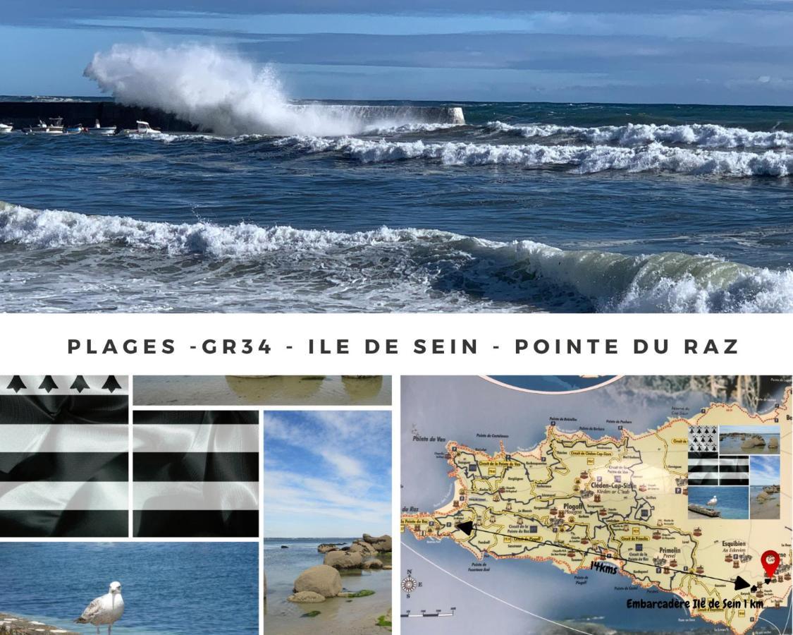 Duplex Vue Mer - Plage A 100M- 4 Lits - Parking Sous Sol Audierne Eksteriør billede
